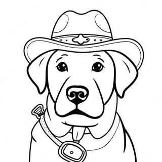 Hnaarabaaysiichrifflaabraadrthiielnsnukphrmhmwk 101680-40107