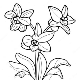 Klwyaimsaayphanthuaeplkaihm Rabaaysii 120555-55275