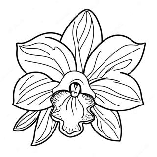 Klwyaimsaayphanthuaeplkaihm Rabaaysii 120555-55276