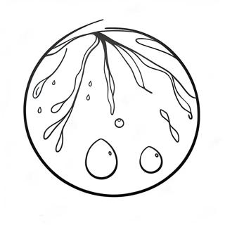 Hnaarabaaysiihydnam 130377-63351