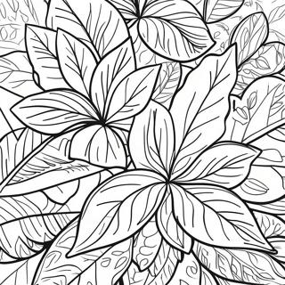 Hnaarabaaysiiaibohraphaathiimiiraaylaeiiyd 134495-66556