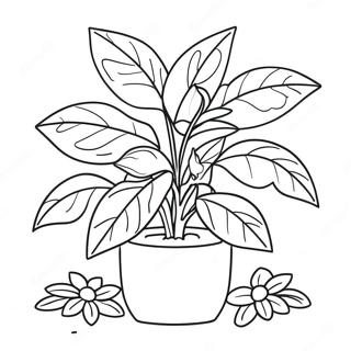 Hnaarabaaysiitnmintsdais 134496-66558