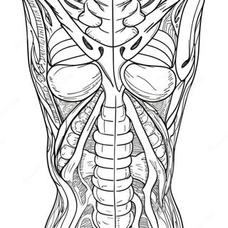 Hnaarabaaysiiklaamenuueyaanglaeiiyd 69121-15134