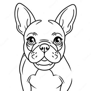 French Bulldog ระบายสี รูปภาพ