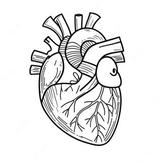 Hnaarabaaysiihawaicchthiimiikhwaamsmcchring 76808-19599