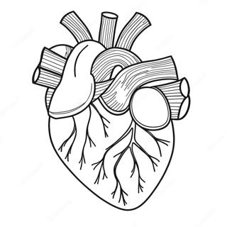 Hnaarabaaysiihawaicchthiimiikhwaamsmcchring 76808-19600