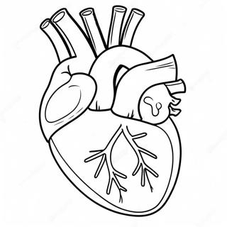 Hnaarabaaysiihawaicchkaartuun 76809-19601