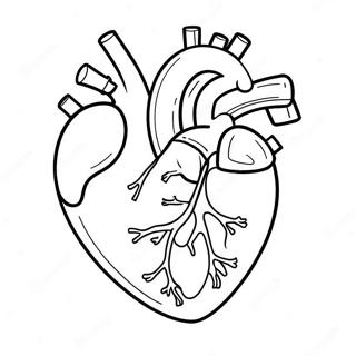 Hnaarabaaysiihawaicchkaartuun 76809-19602