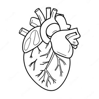 Hnaarabaaysiihawaicchkaartuun 76809-19604