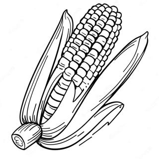 Hnaarabaaysiikhaawophd 91557-31382