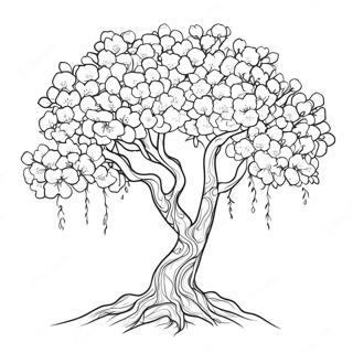 Hnaarabaaysiitnchaakurayiipun 92456-32094